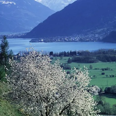 Appartement Waltl Zell am See